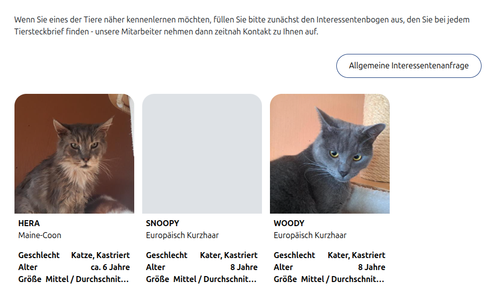 Homepage & E-Mail aus einer Hand